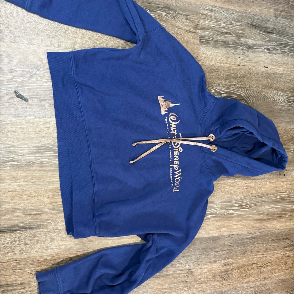 Blue Walt Disney World Hoodie